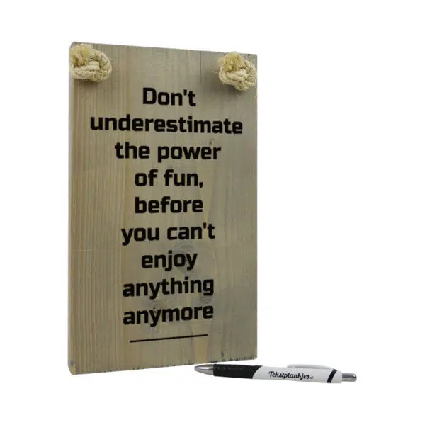 tekst op hout - origineel cadeau - steuntje in de rug - do not underestimate the power of fun
