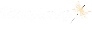 tekstplankjes logo oud en nieuw vuurwerk v2